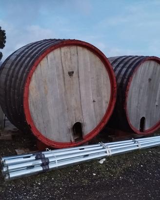 Botti vino per esposizione