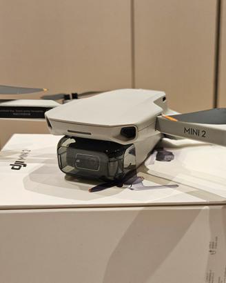 dji mini 2 + smart controller