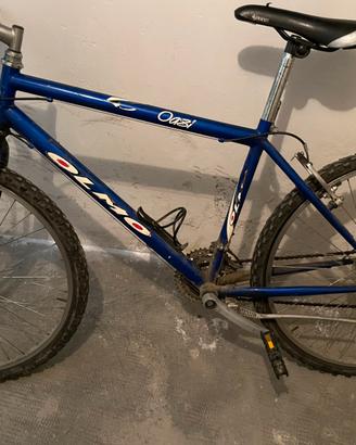 Bicicletta