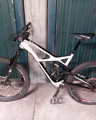 Specialized Enduro exert