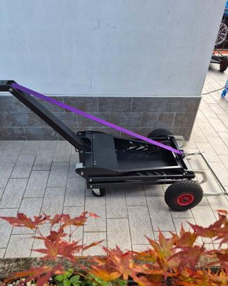 Carrello Elettrico Go Kart