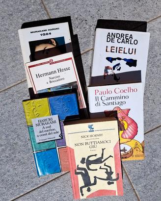 Collezione privata libri narrativa - lotto