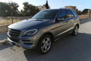 Mercedes ML 250