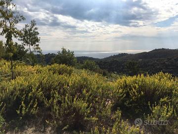 Terreno di 15111 m² a Camporosso