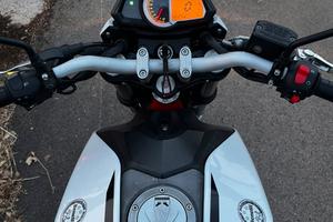 Benelli BN251