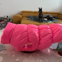 Cappottino cane piccola taglia