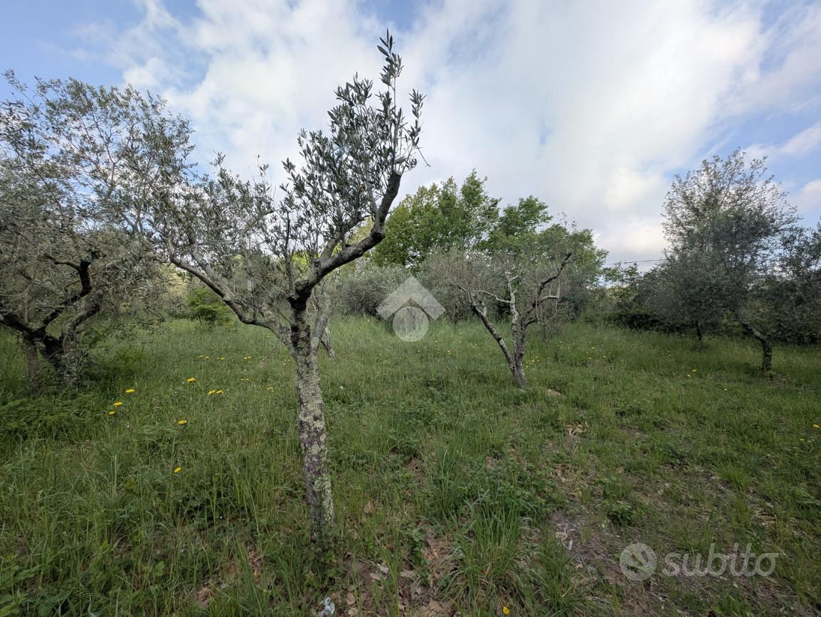 TER. AGRICOLO A CONCA DELLA CAMPANIA - Vista 3