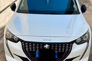 Camper peugeot 208