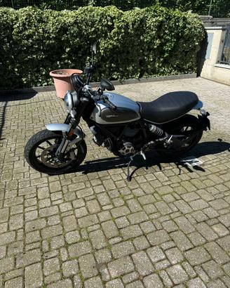 DUCATI SCRAMBLER 800 icon