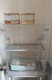 gabbia per uccelli - voliera