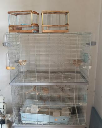 gabbia per uccelli - voliera