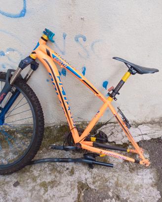 MTB Torpado Earth 26” street / dirt / progetto