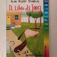 libro: Il libro di Job