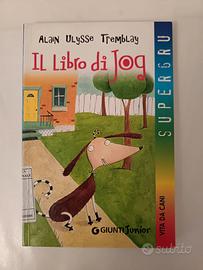 libro: Il libro di Job