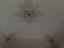 Immagine 10