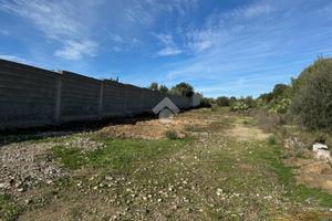 TER. AGRICOLO A QUARTUCCIU