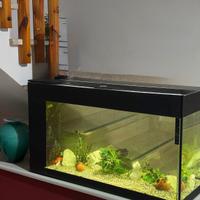 Acquario completo 120 lt