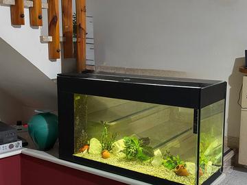 Acquario completo 120 lt