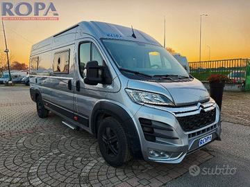 ROBETA 6.36 MOD APOLLO ( 2024 )
