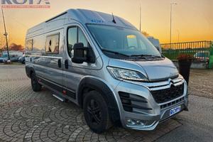 ROBETA 6.36 MOD APOLLO ( 2024 )