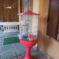 gabbia x uccelli 50 euro