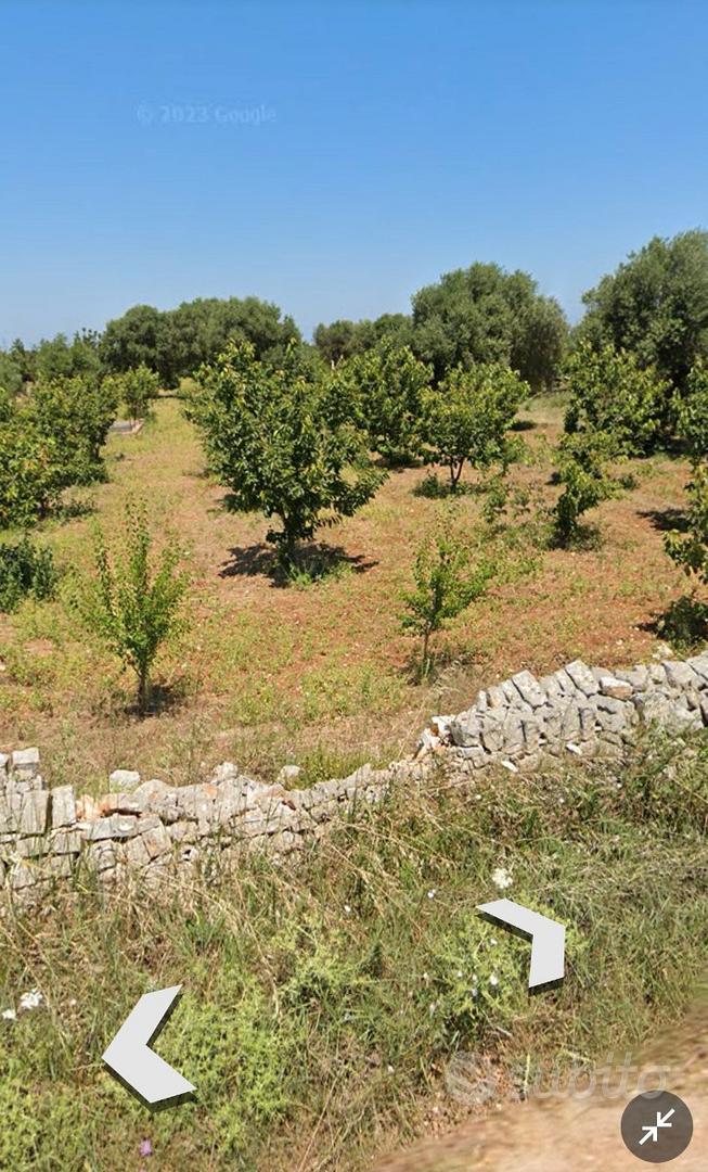Terreno agricolo 5.200 m² con possibilità di fabbr - Vista 2