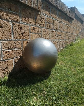 15 fitball 