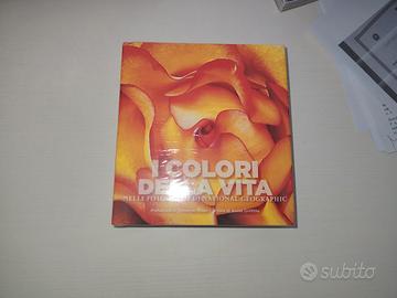i colori della vita