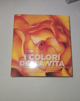 i colori della vita
