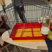 gabbia per uccelli e pappagalli 