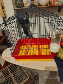 gabbia per uccelli e pappagalli 