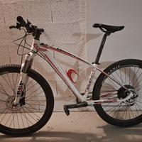 mountain bike x ragazzo usata