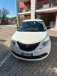 1.2 Elefantino Blu ecochic Gpl