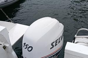 Fuoribordo 150cv Selva killer whale