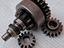 Immagine 1