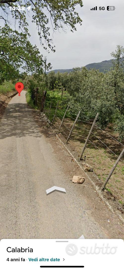 Terreno agricolo uliveto - Vista 5