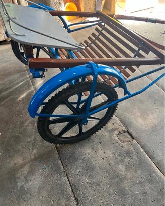 calesse per mezzo cavallino 