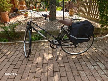 Bici Alpina 