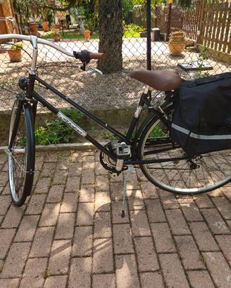 Bici Alpina 