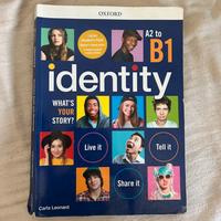 identity a2 to b1