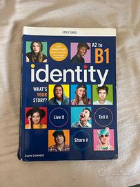 identity a2 to b1