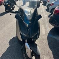 Xmax 300