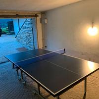 Tavolo da Ping Pong Vigor