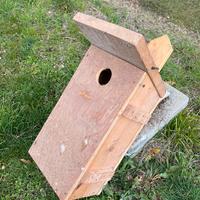 Nido per allocco o piccoli rapaci