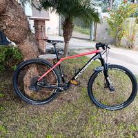 mtb xc 900 carbonio 29