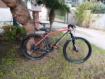 mtb xc 900 carbonio 29
