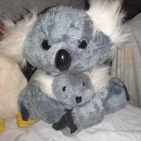 Koala peluche 