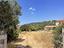 Immagine 12