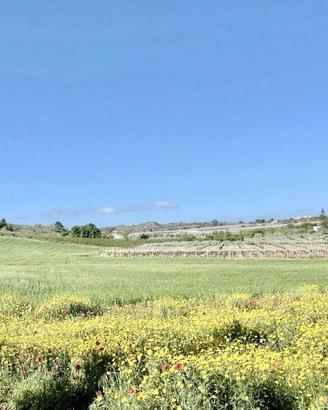 Attività / Licenza di 35620 m² con più di 5 locali