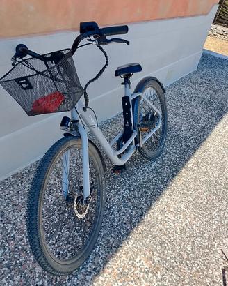 bici elettrica everride